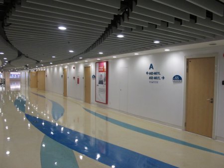 加拿大28预测