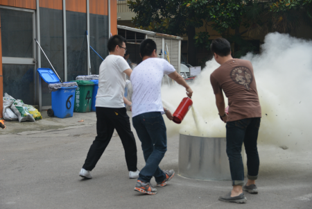 加拿大28预测