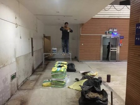 加拿大28预测