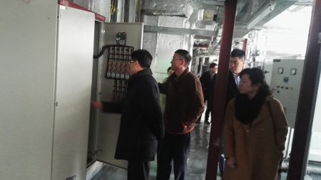 加拿大28预测