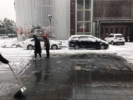 加拿大28预测