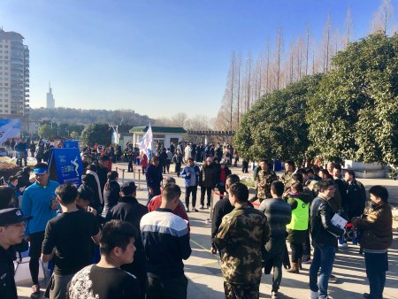 加拿大28预测