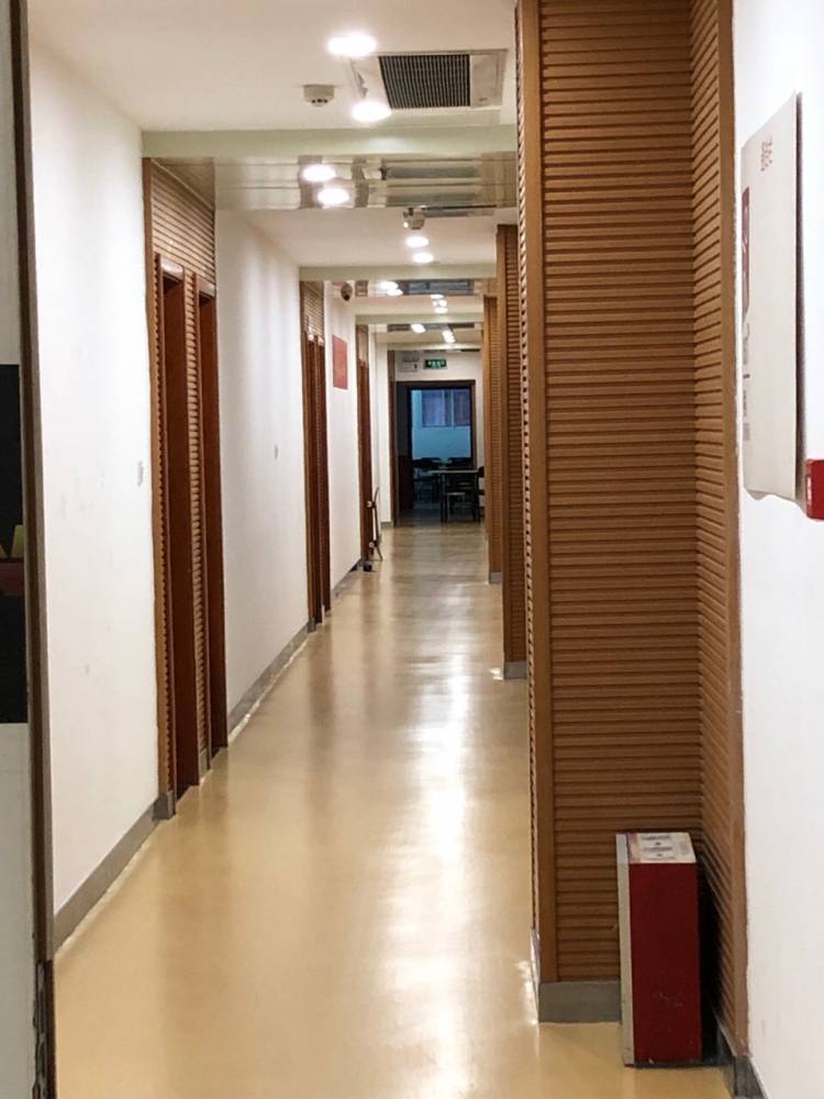加拿大28预测