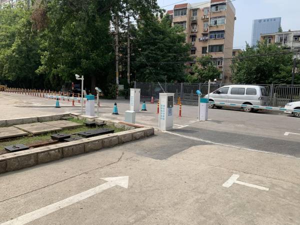 加拿大28预测