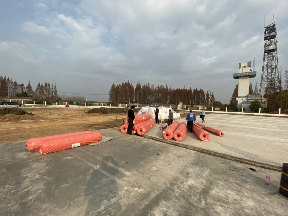 加拿大28预测