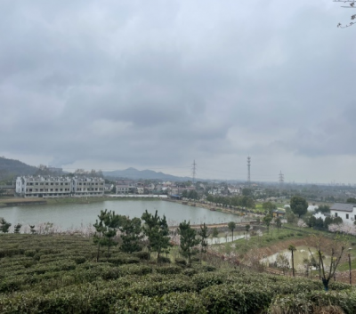 加拿大28预测