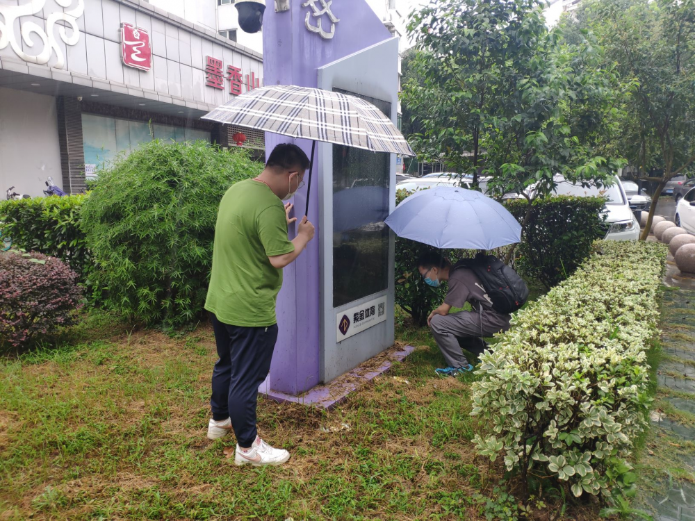 加拿大28预测