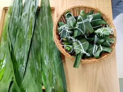加拿大28预测