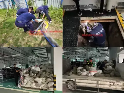 加拿大28预测