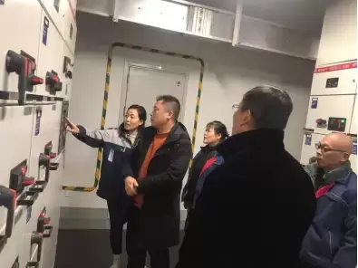 加拿大28预测