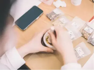 加拿大28预测