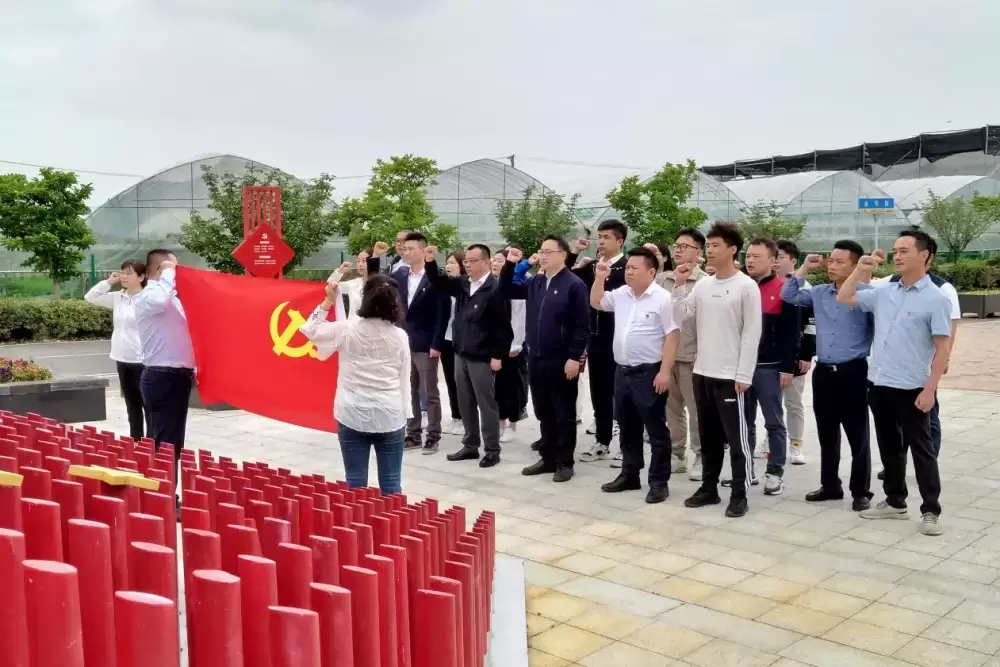 加拿大28预测