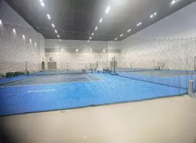 加拿大28预测
