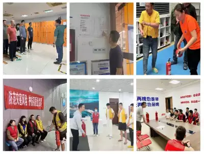 加拿大28预测