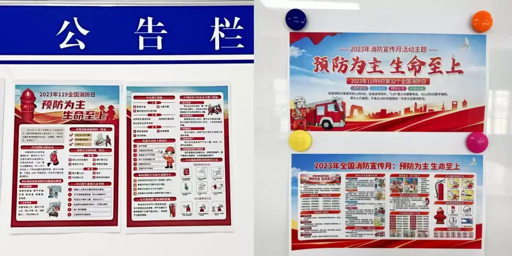加拿大28预测