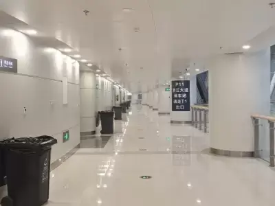 加拿大28预测