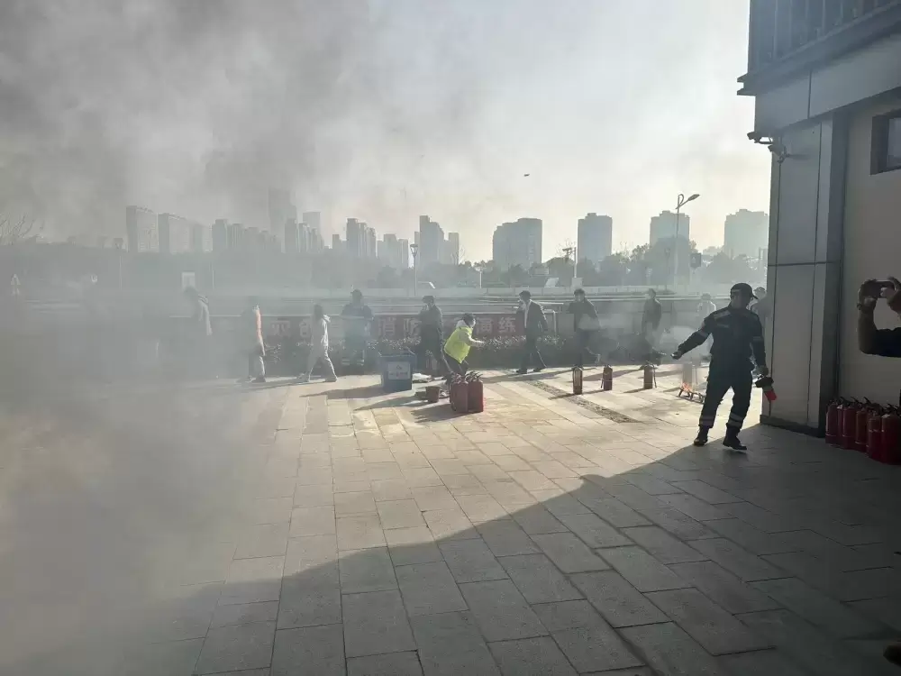 加拿大28预测