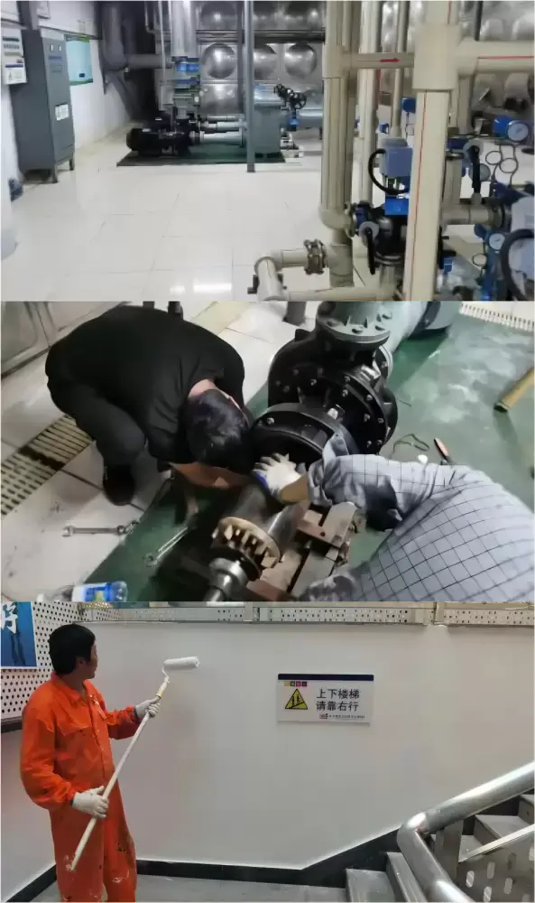 加拿大28预测