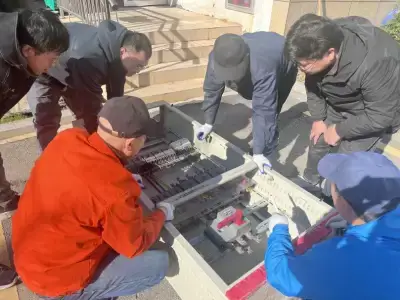 加拿大28预测