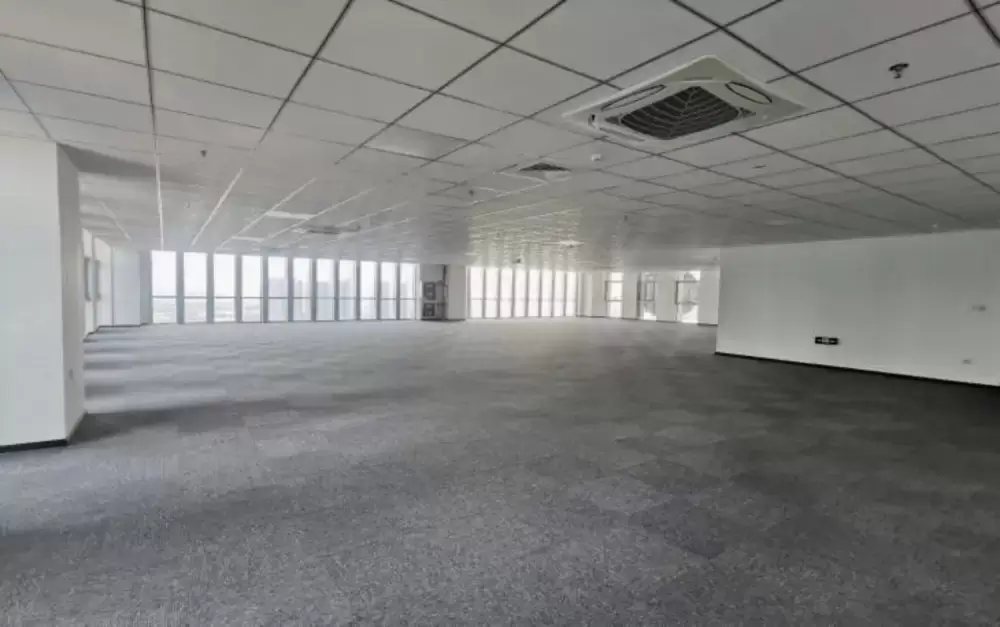 加拿大28预测