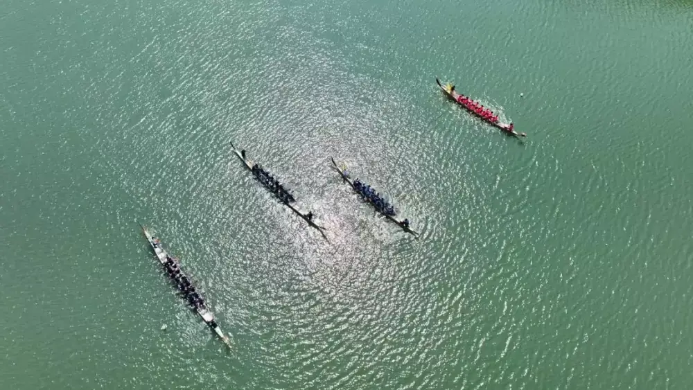 加拿大28预测
