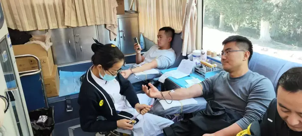 加拿大28预测