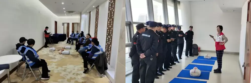 加拿大28预测