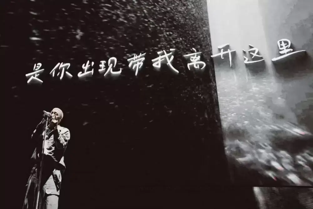 加拿大28预测