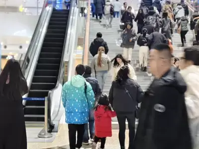 加拿大28预测