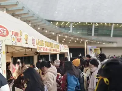 加拿大28预测