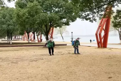 加拿大28预测