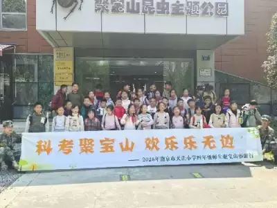 加拿大28预测
