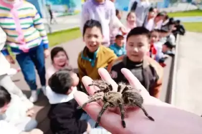 加拿大28预测
