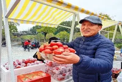 加拿大28预测