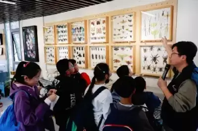 加拿大28预测