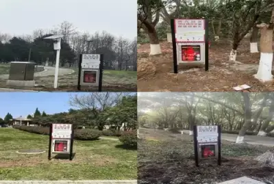 加拿大28预测