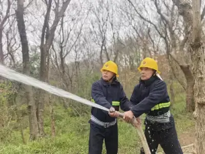 加拿大28预测