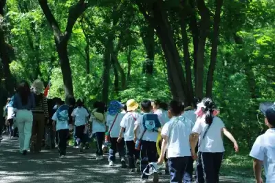 加拿大28预测