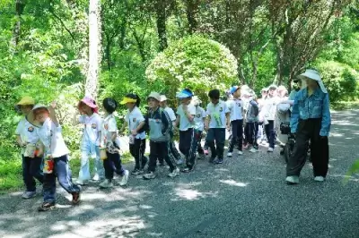 加拿大28预测