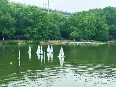加拿大28预测
