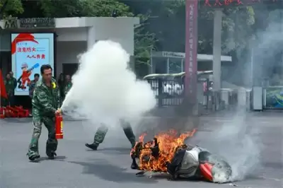 加拿大28预测