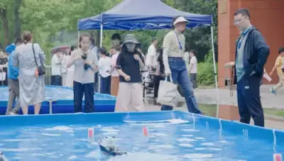 加拿大28预测