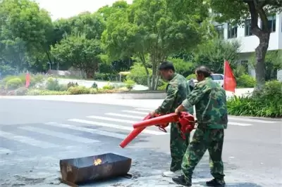 加拿大28预测